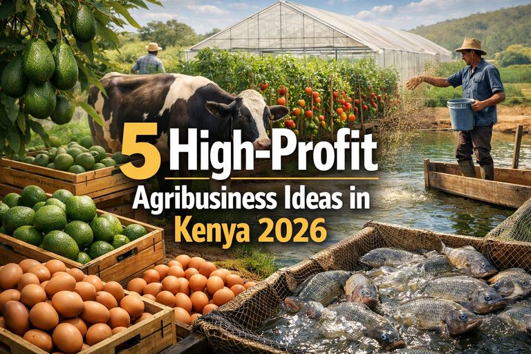 5 High-Profit Agribusiness Ideas in Kenya 2026